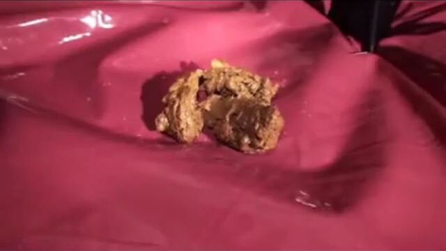 Scat Vid Scat Porn